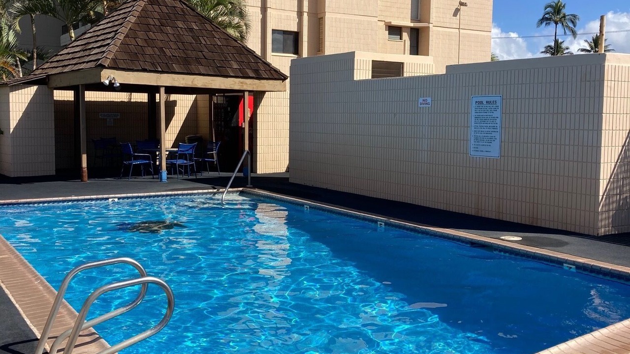 Photo of Outdoor in Kihei