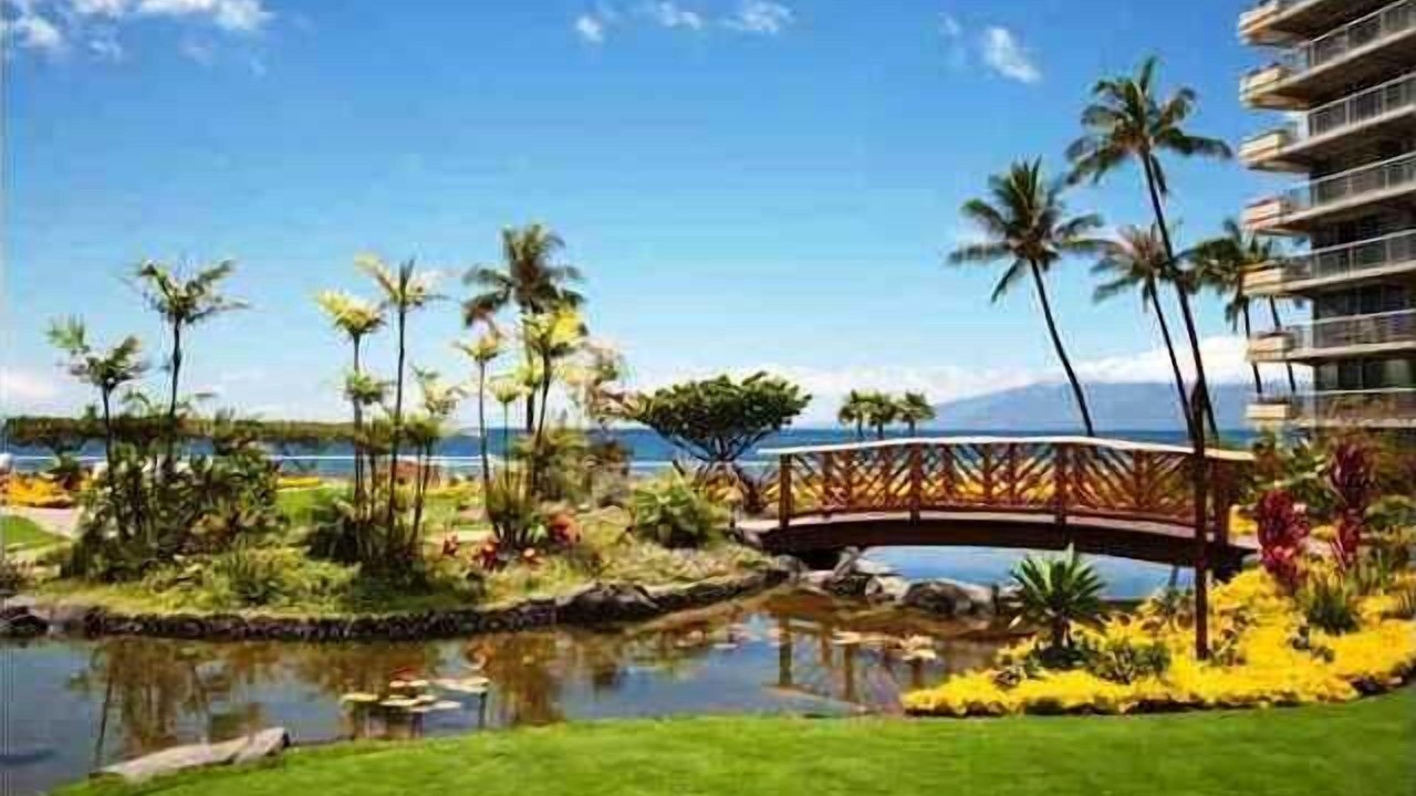 Photo of Outdoor in Kaanapali