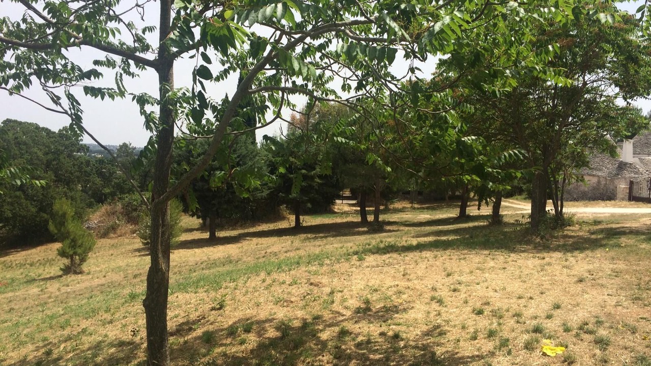 Photo of Others in Locorotondo
