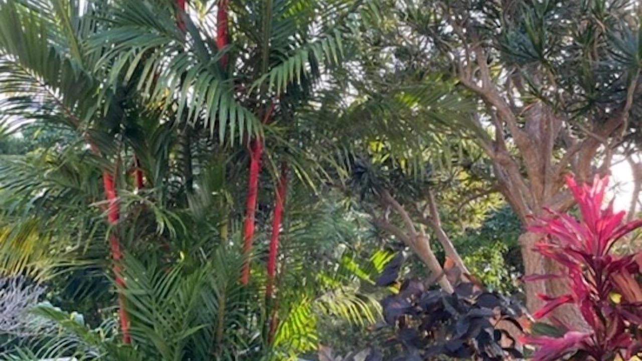Photo of Outdoor in Kahaluu-Keauhou