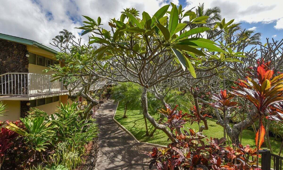 Photo of Others in Napili