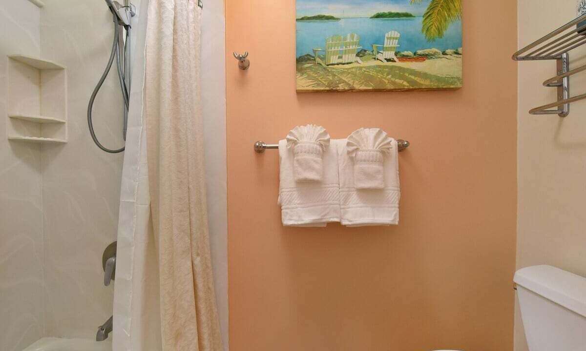 Photo of Bathroom in Napili