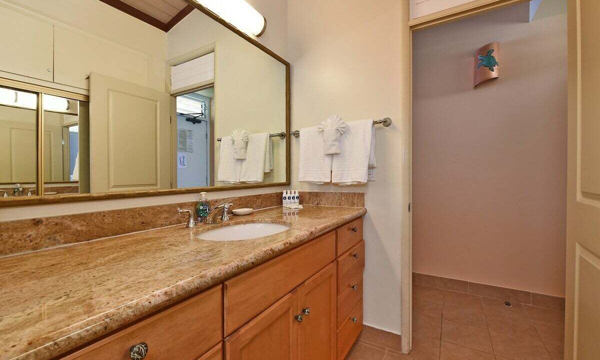 Photo of Bathroom in Napili