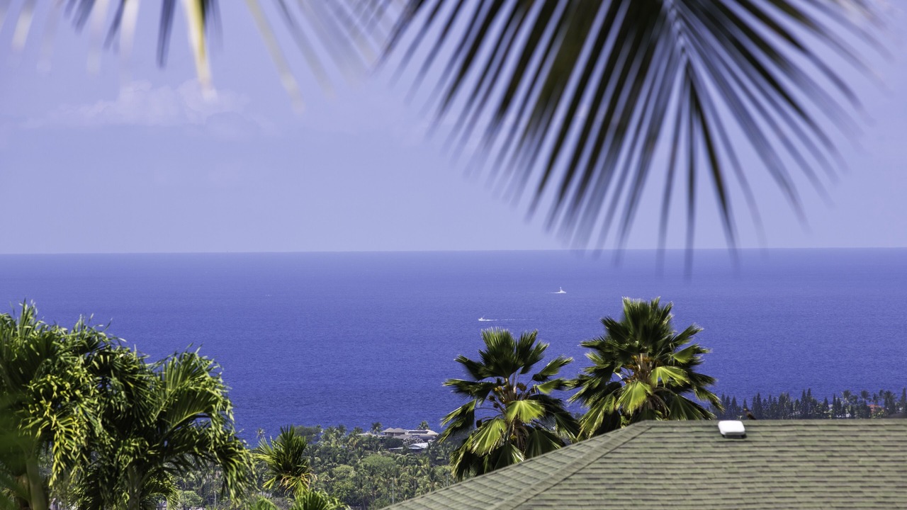 Photo of Others in Kailua-Kona