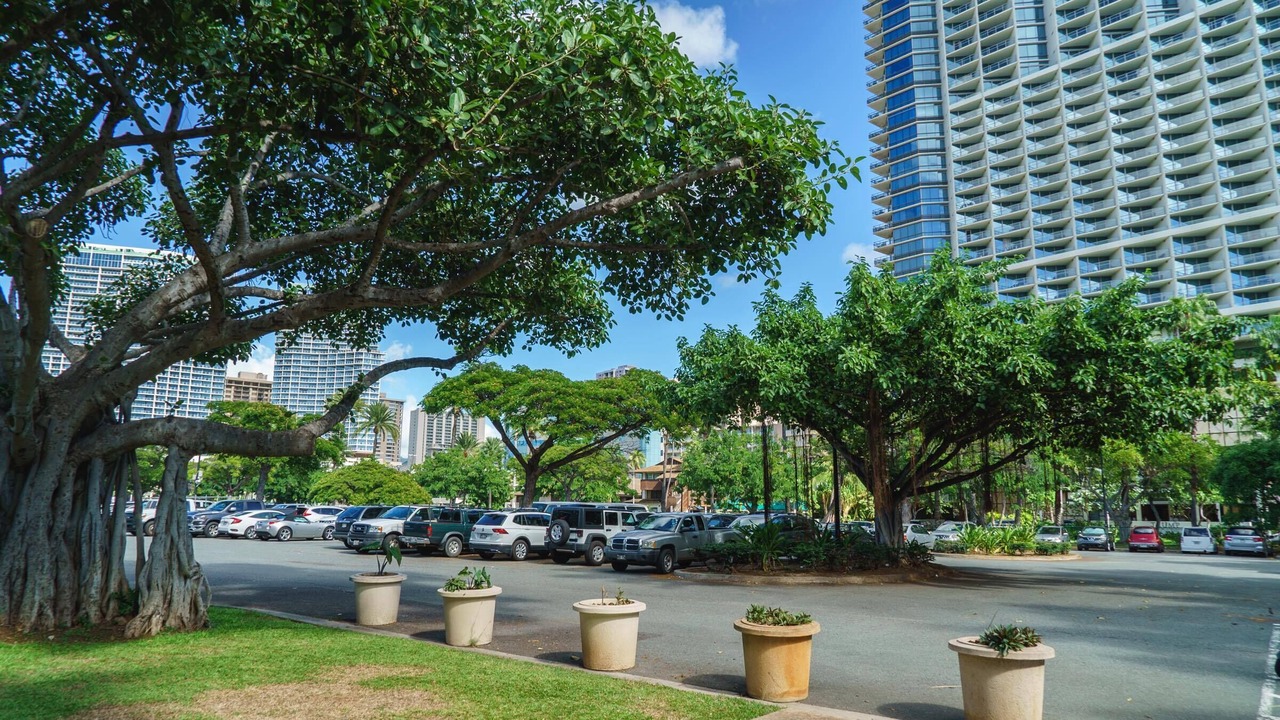Photo of Others in Waikiki