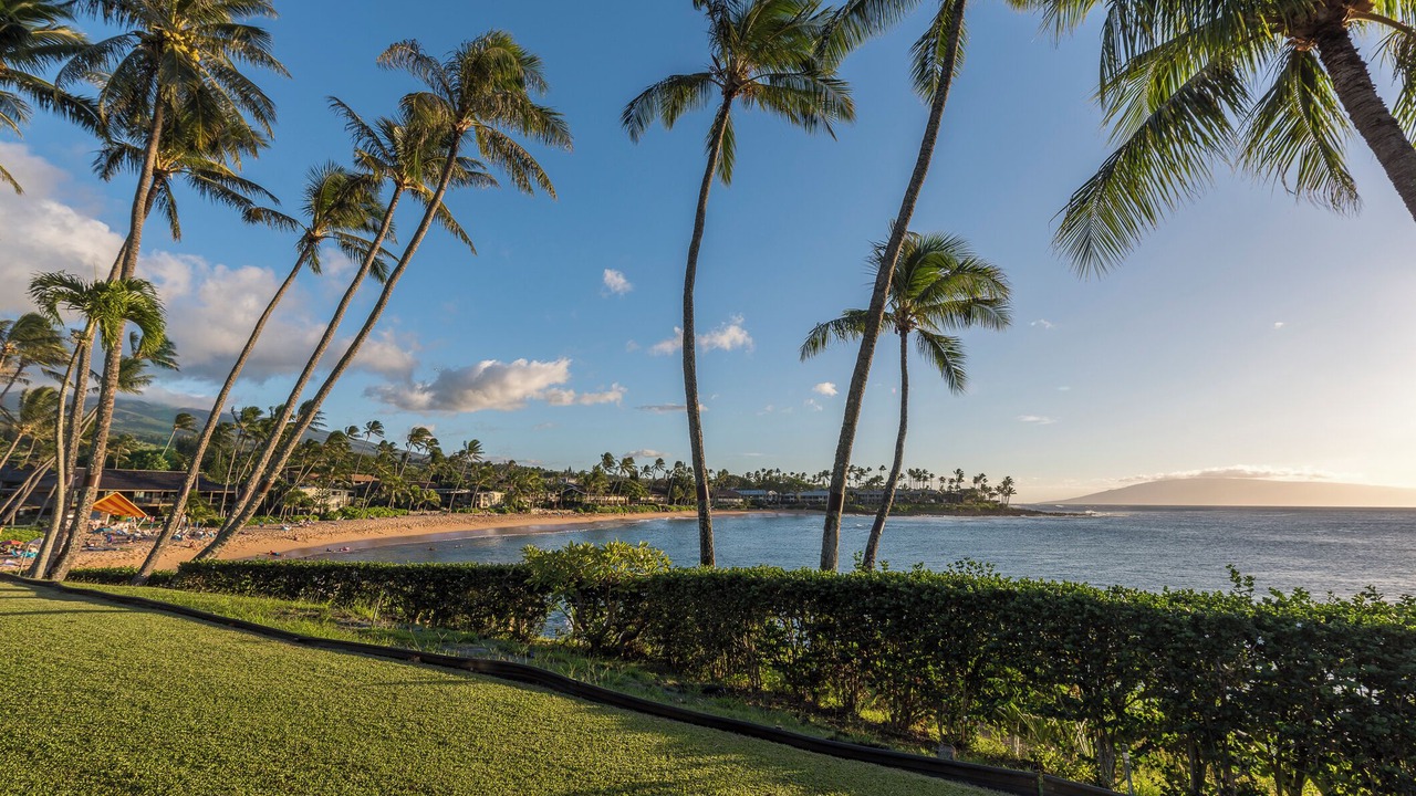 Photo of Others in Napili