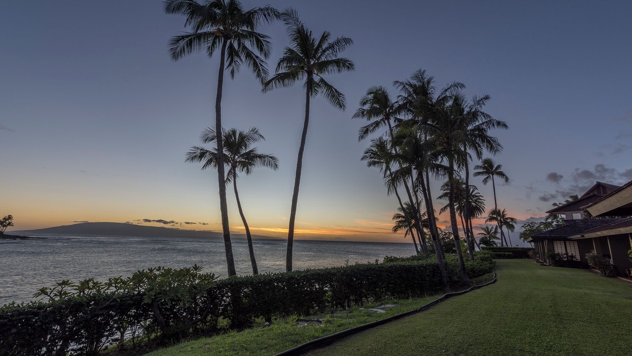 Photo of Others in Napili