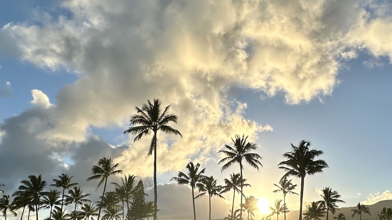 Photo of Others in Honokowai