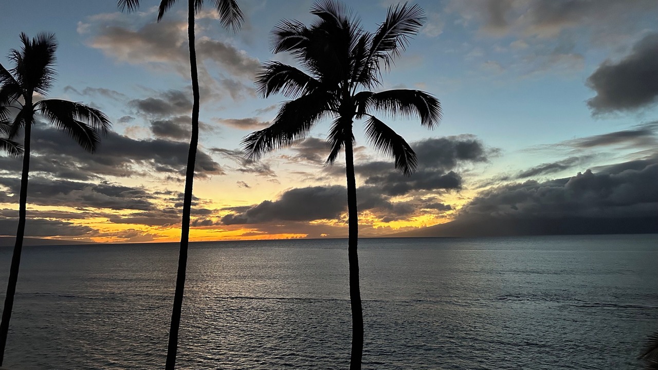 Photo of Others in Honokowai