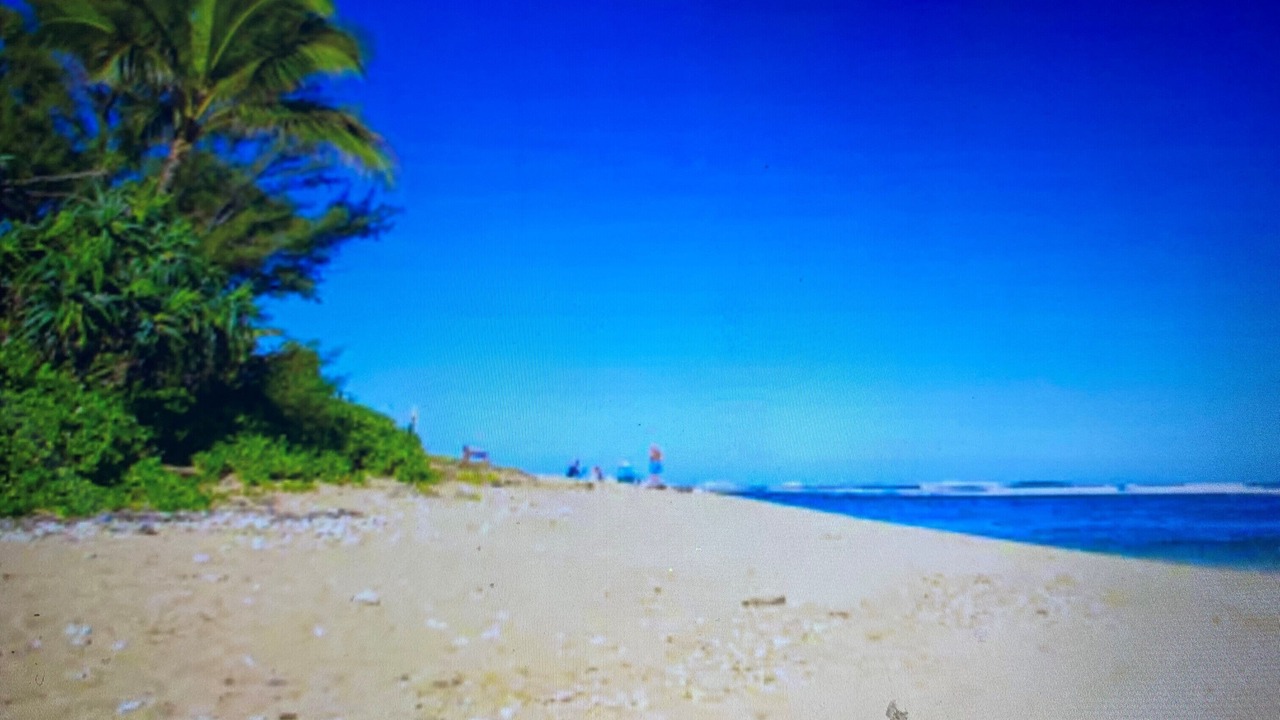 Photo of Others in Wainiha