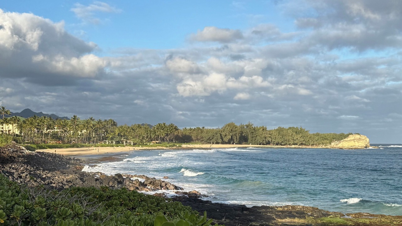 Photo of Others in Poipu