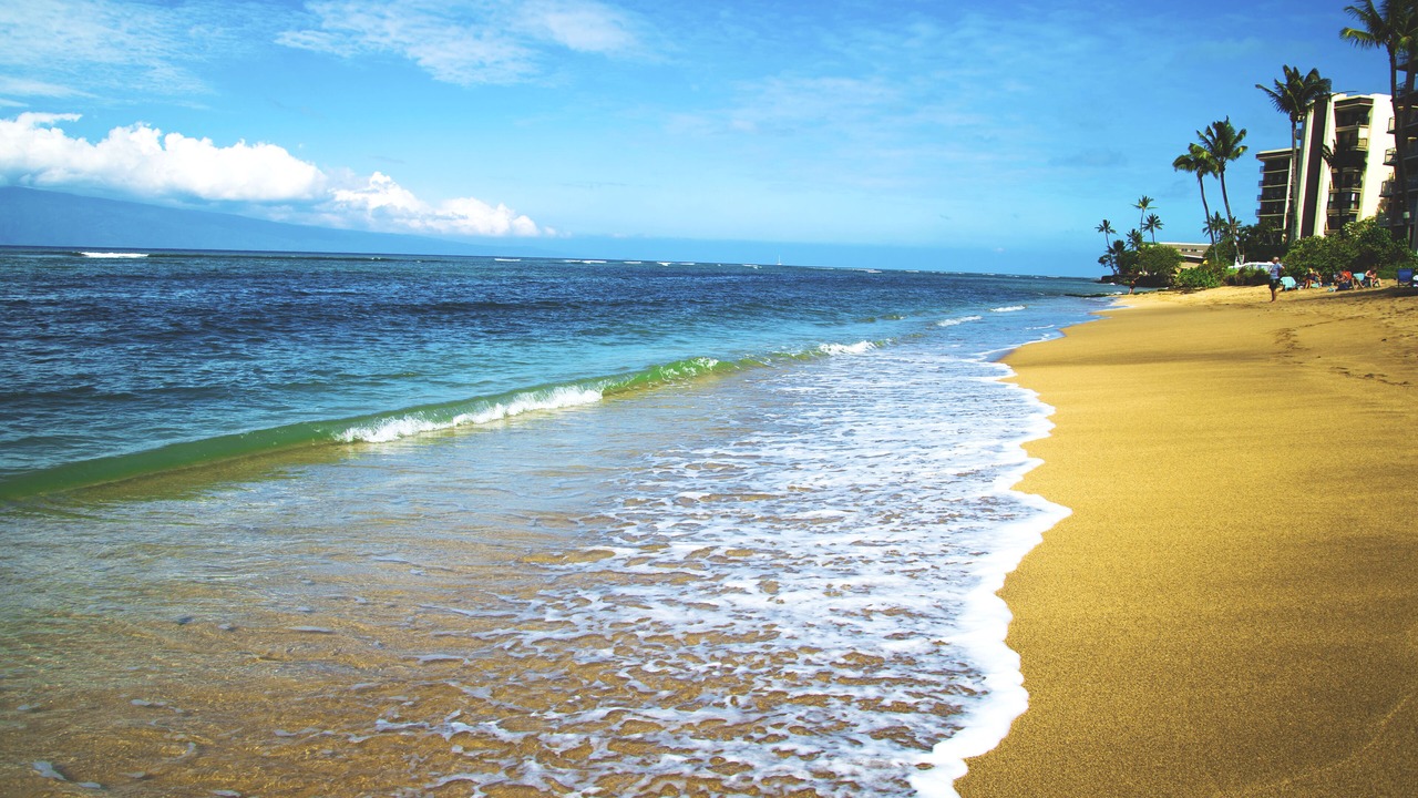 Photo of Others in Kahana
