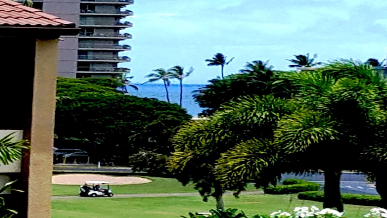 Photo of Others in Kaanapali
