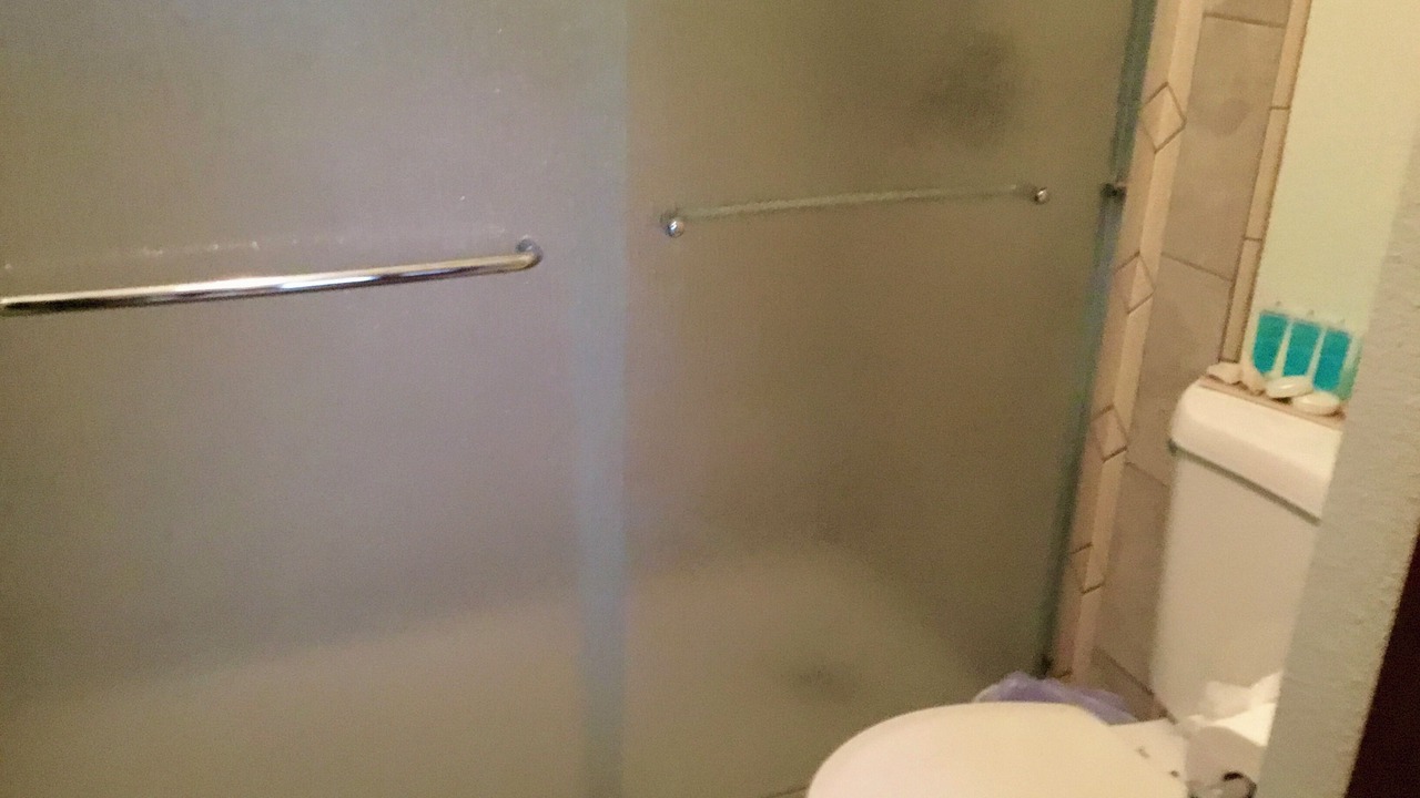 Photo of Bathroom in Kapoho