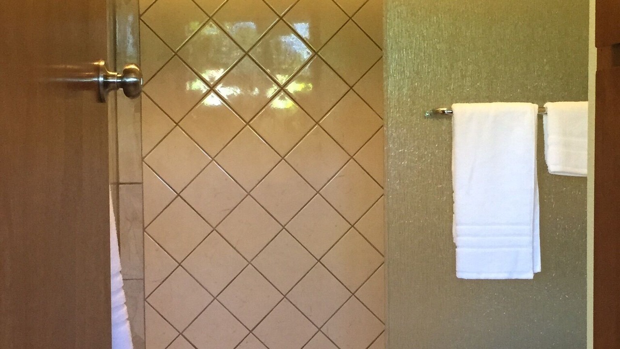 Photo of Bathroom in Kapoho