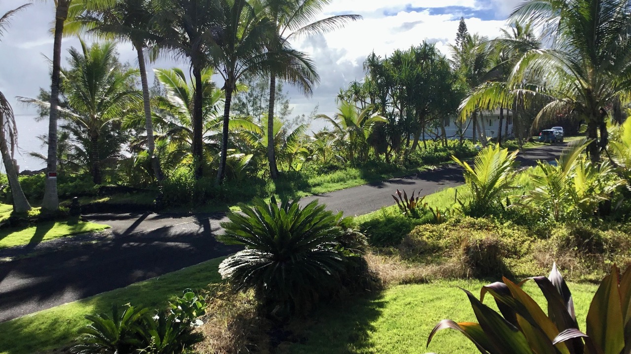 Photo of Outdoor in Kapoho
