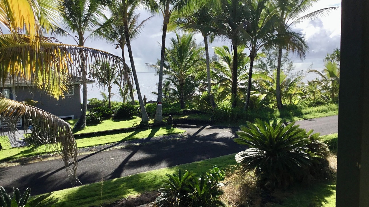Photo of Outdoor in Kapoho