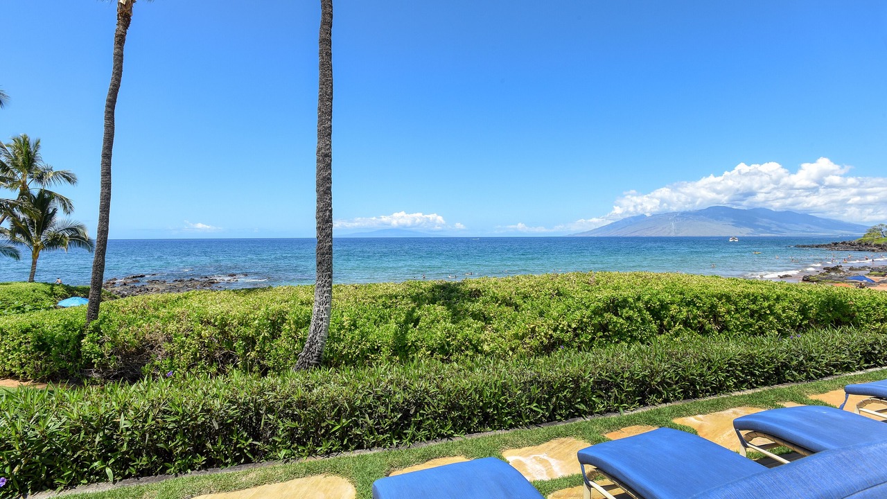 Photo of Others in Wailea