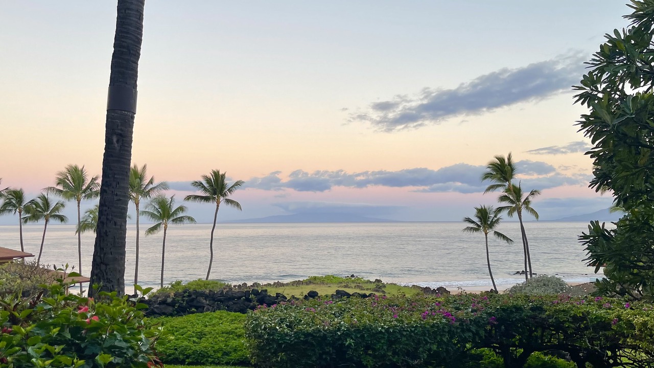 Photo of Others in Wailea