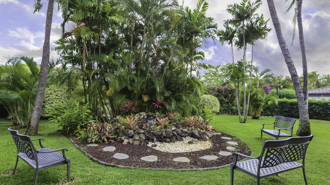 Photo of Outdoor in Kihei