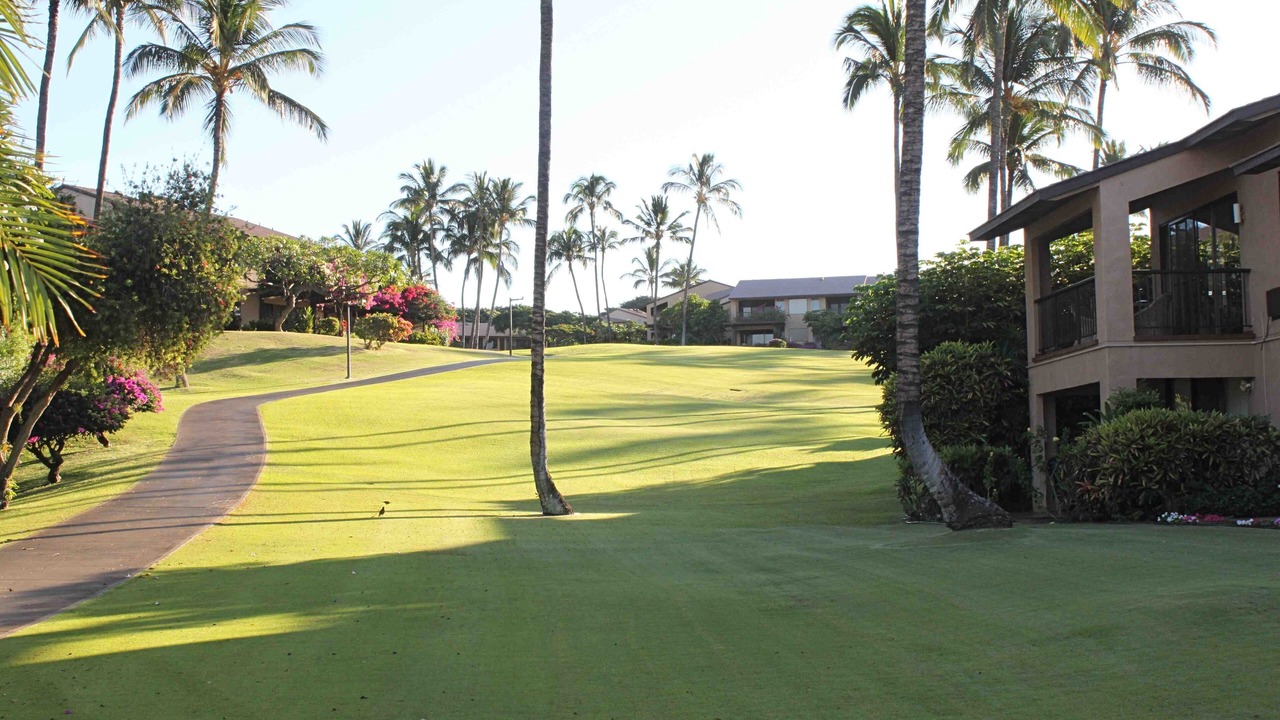 Photo of Outdoor in Wailea