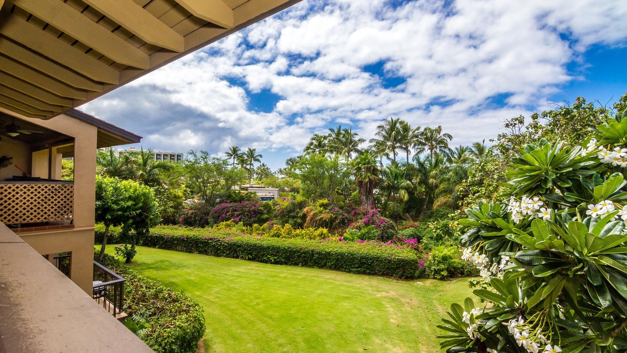 Photo of Others in Wailea