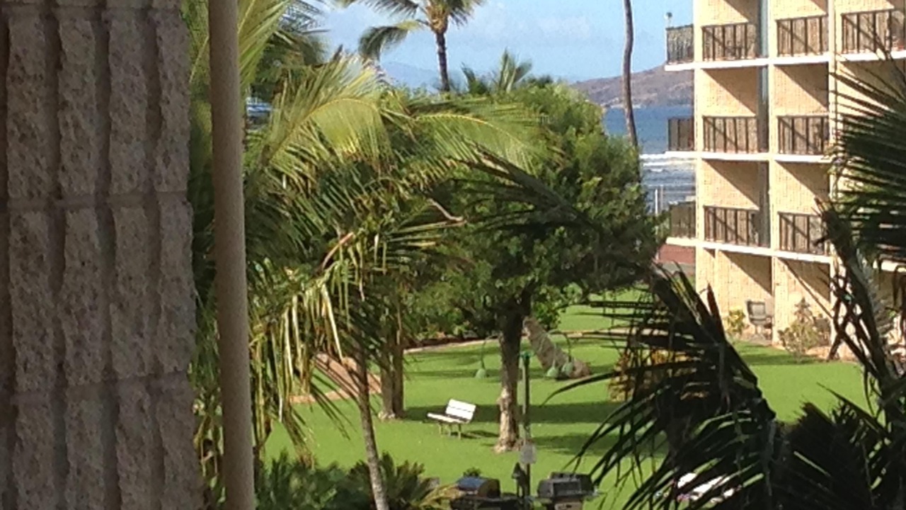 Photo of Patio Balcony in Kihei