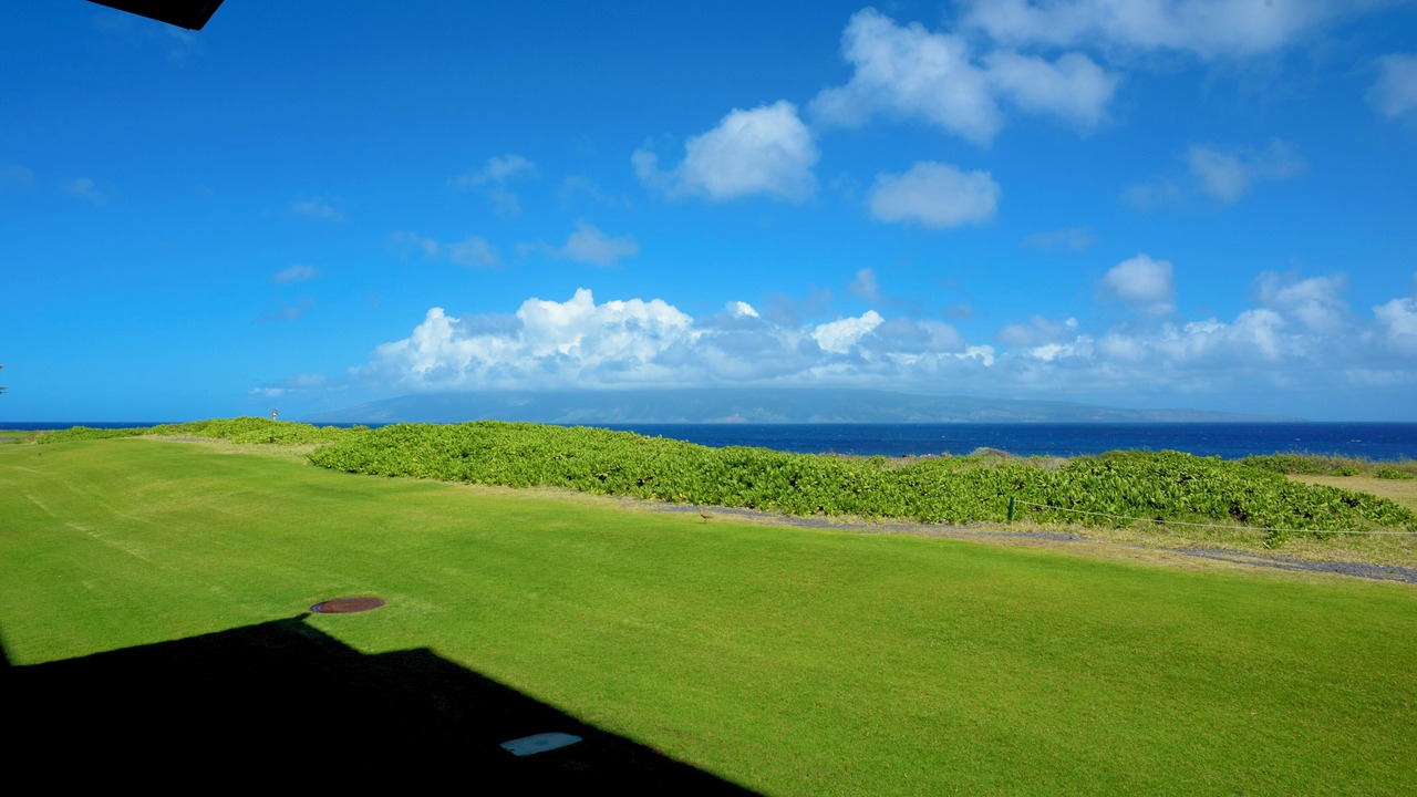 Photo of Others in Napili