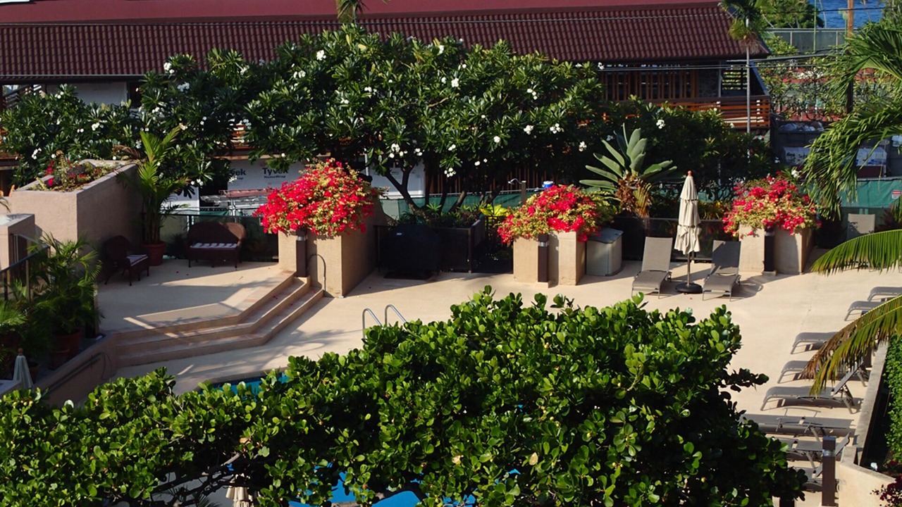 Photo of Outdoor in Historic Kailua Village