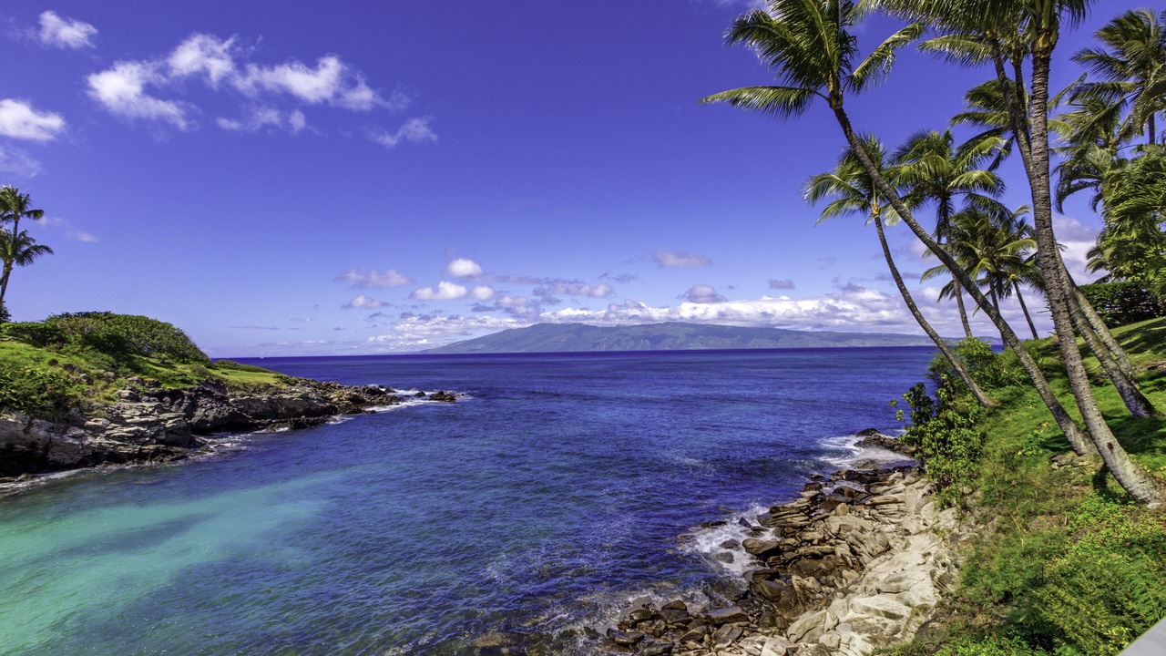 Photo of Others in Napili