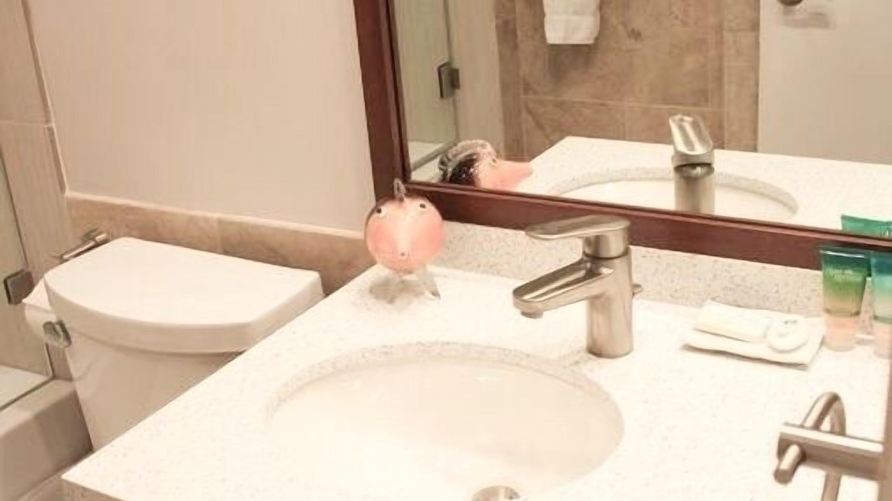 Photo of Bathroom in Kihei