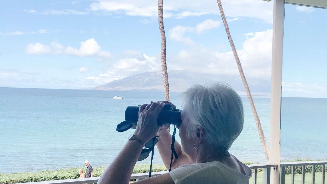 Photo of Others in Kihei