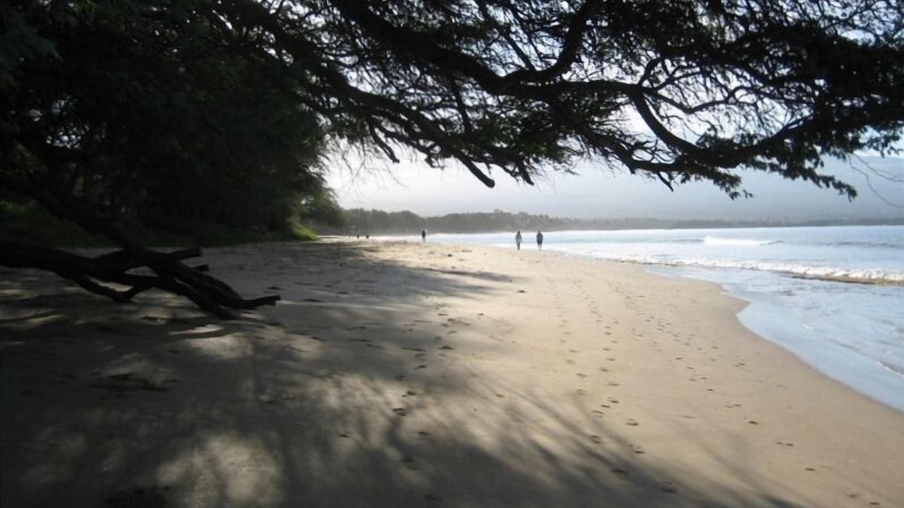 Photo of Others in Kihei