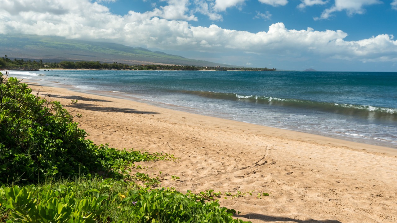 Photo of Others in Kihei