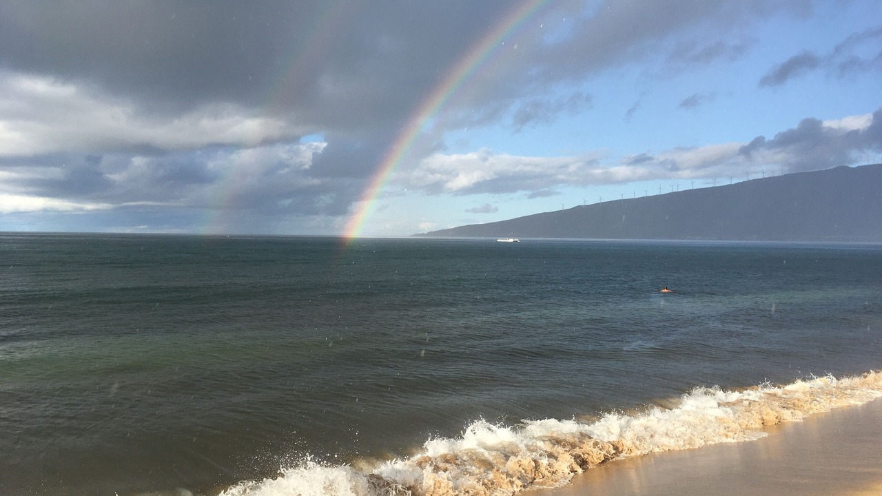 Photo of Others in Kihei