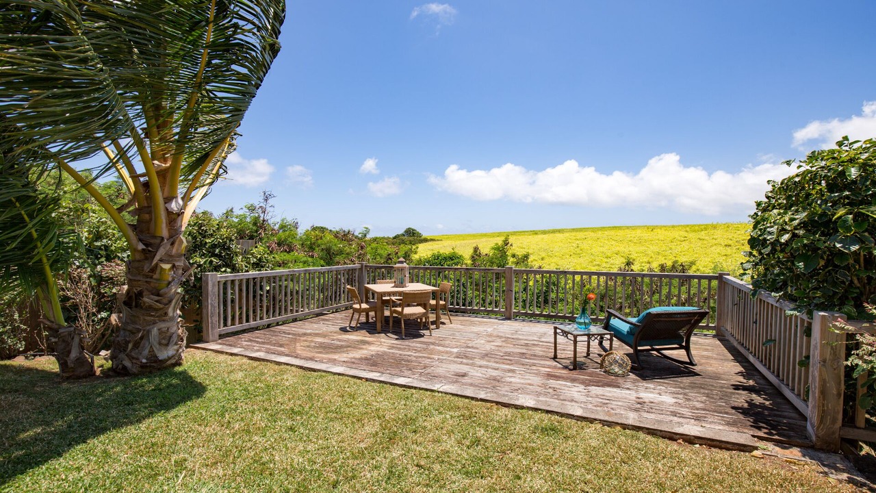 Photo of Outdoor in Paia
