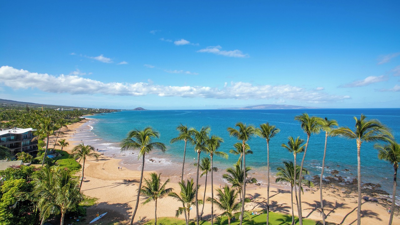 Photo of Others in Kihei