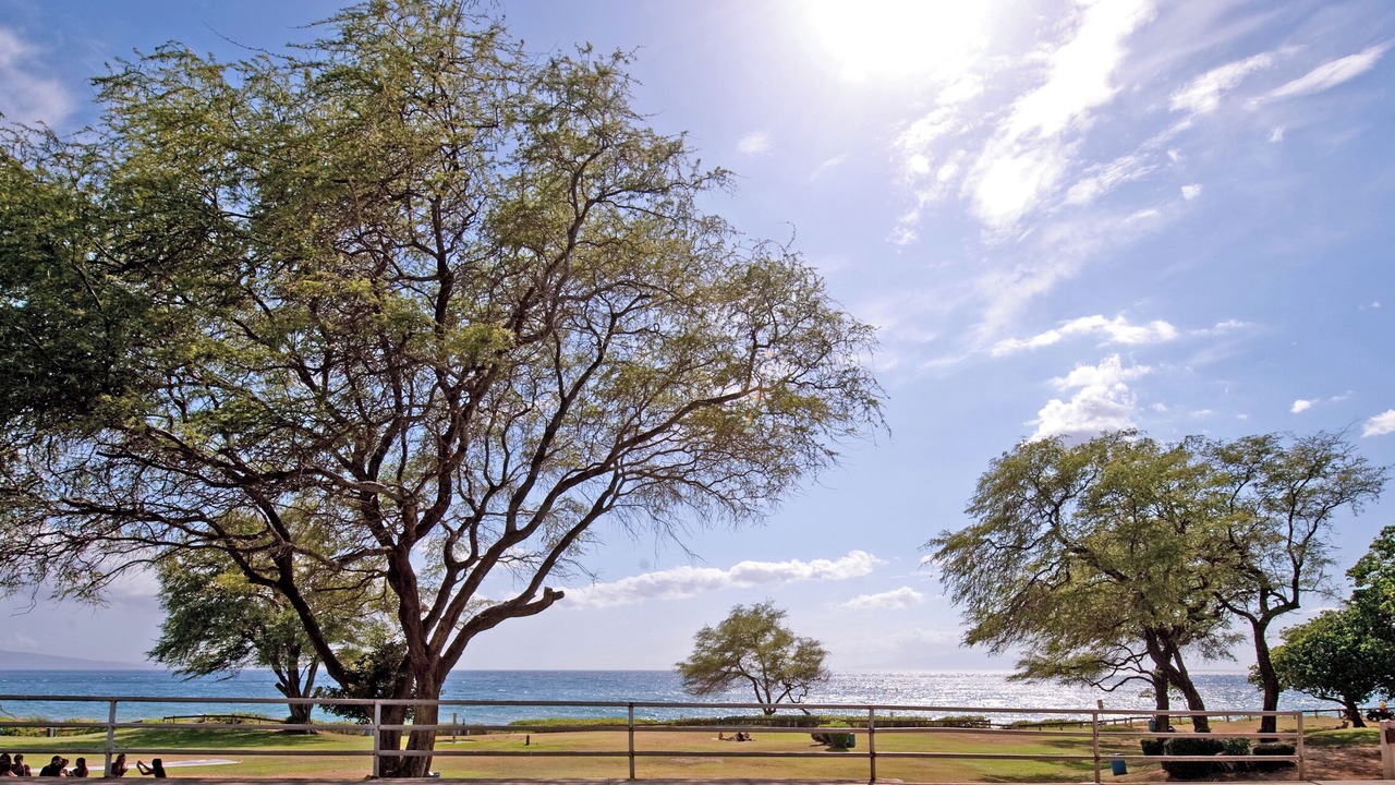 Photo of Others in Kihei