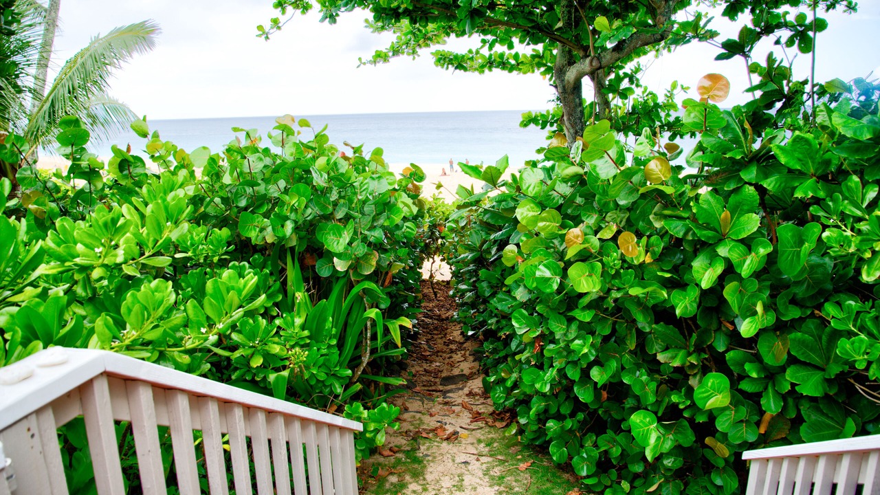 Photo of Others in Pupukea