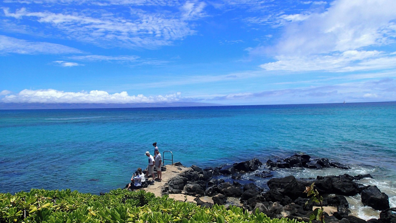 Photo of Others in Honokowai