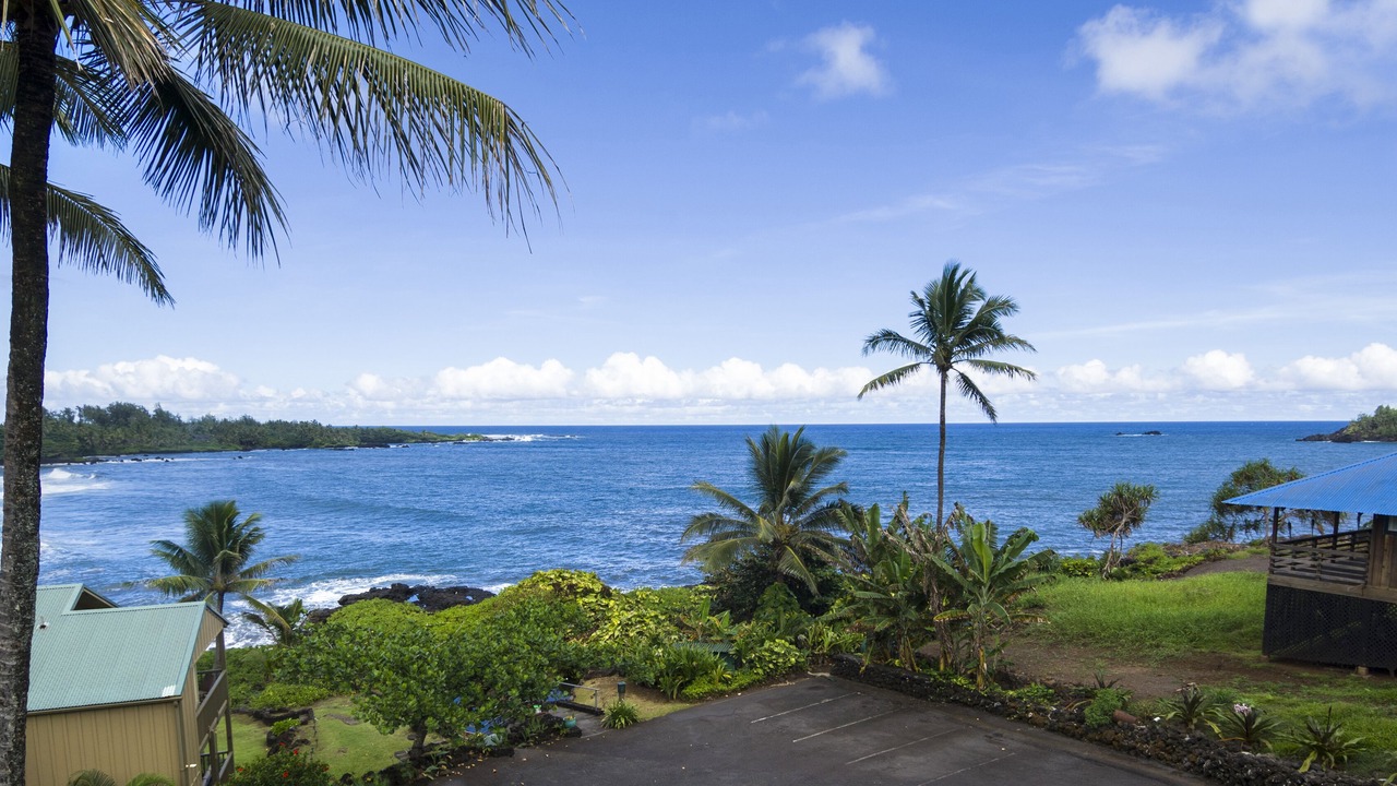 Photo of Others in Hana