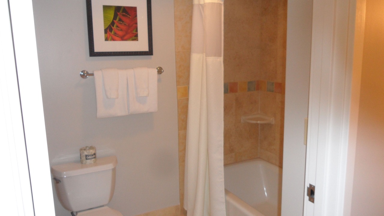 Photo of Bathroom in Kaanapali