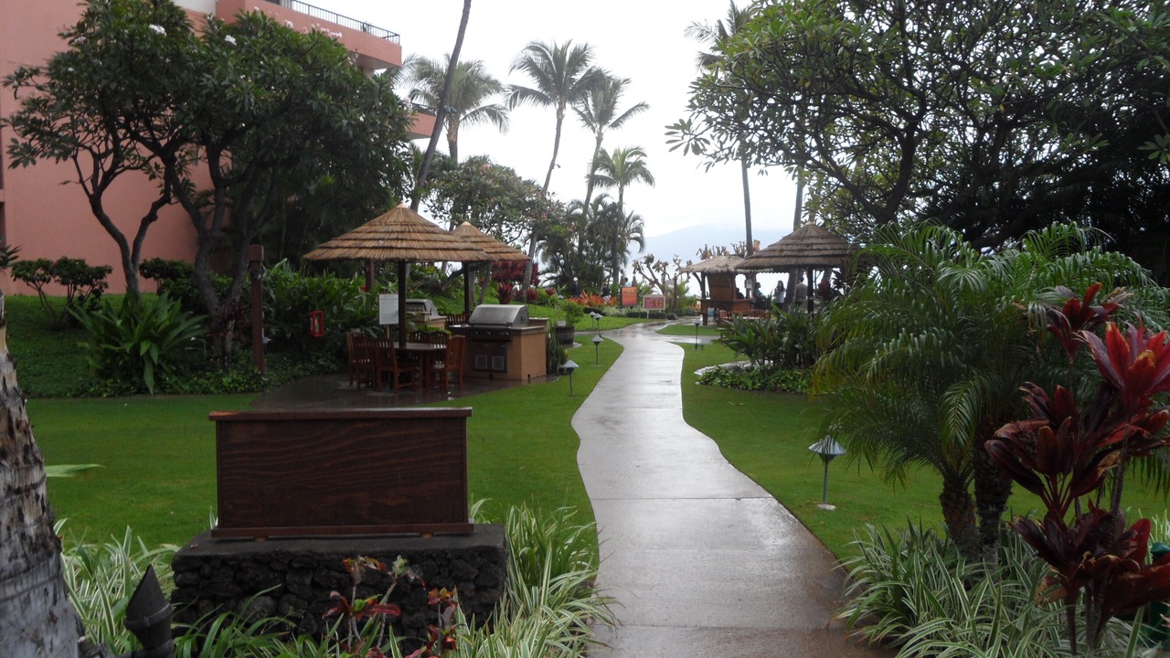 Photo of Outdoor in Kaanapali