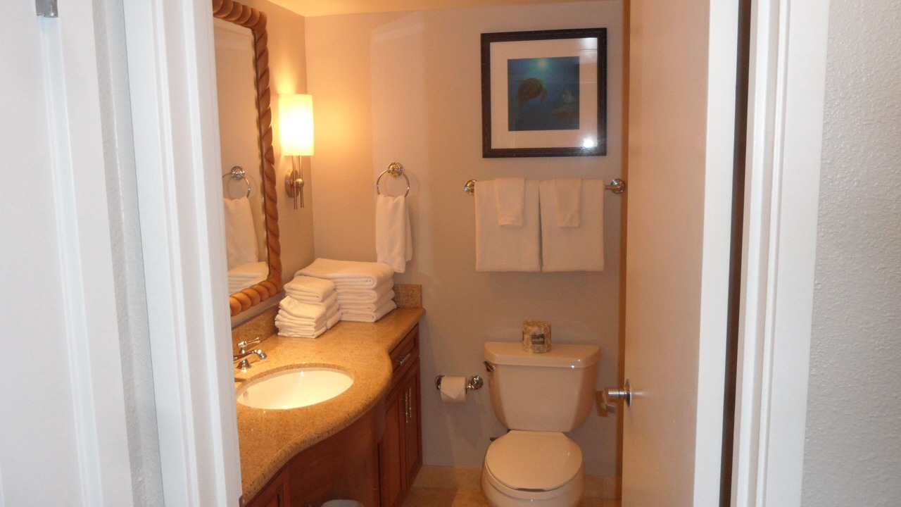 Photo of Bathroom in Kaanapali