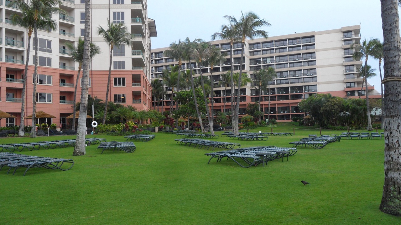 Photo of Outdoor in Kaanapali