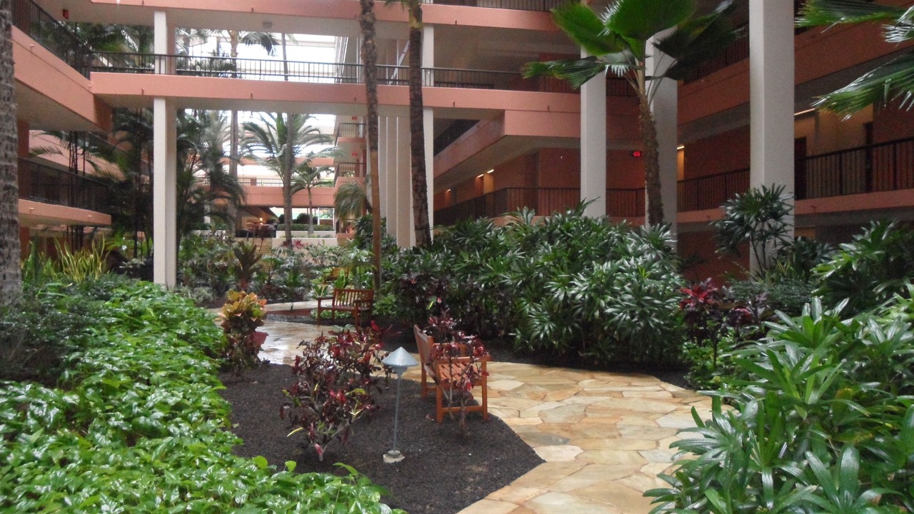 Photo of Outdoor in Kaanapali