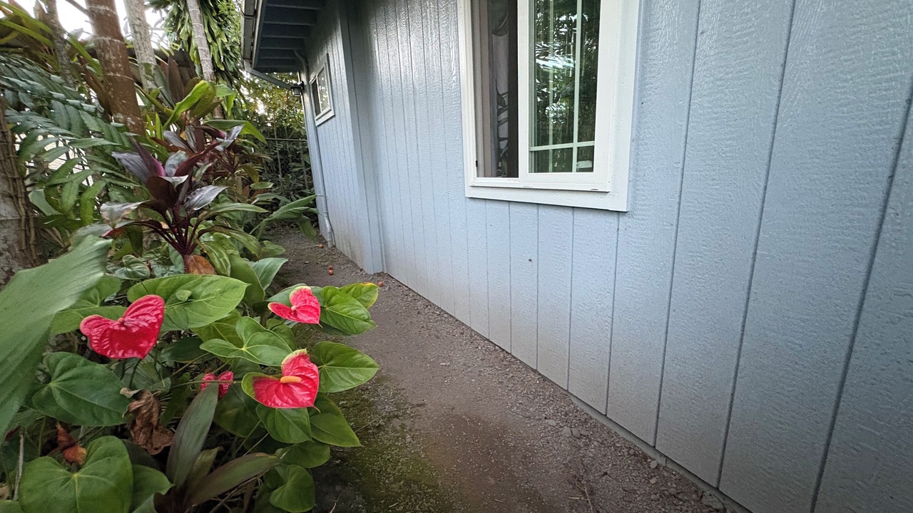 Photo of Outdoor in Hilo