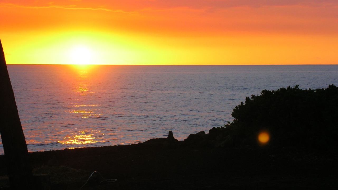 Photo of Others in Kahaluu Bay