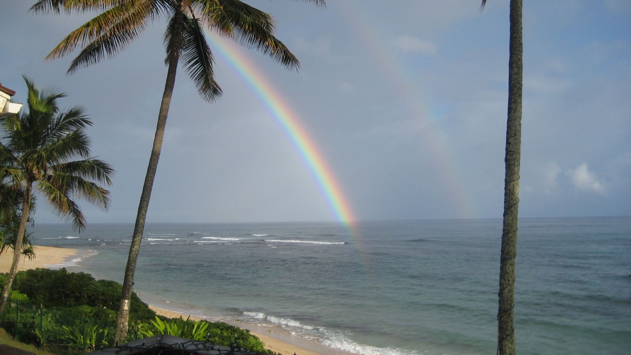 Photo of Others in Waialee