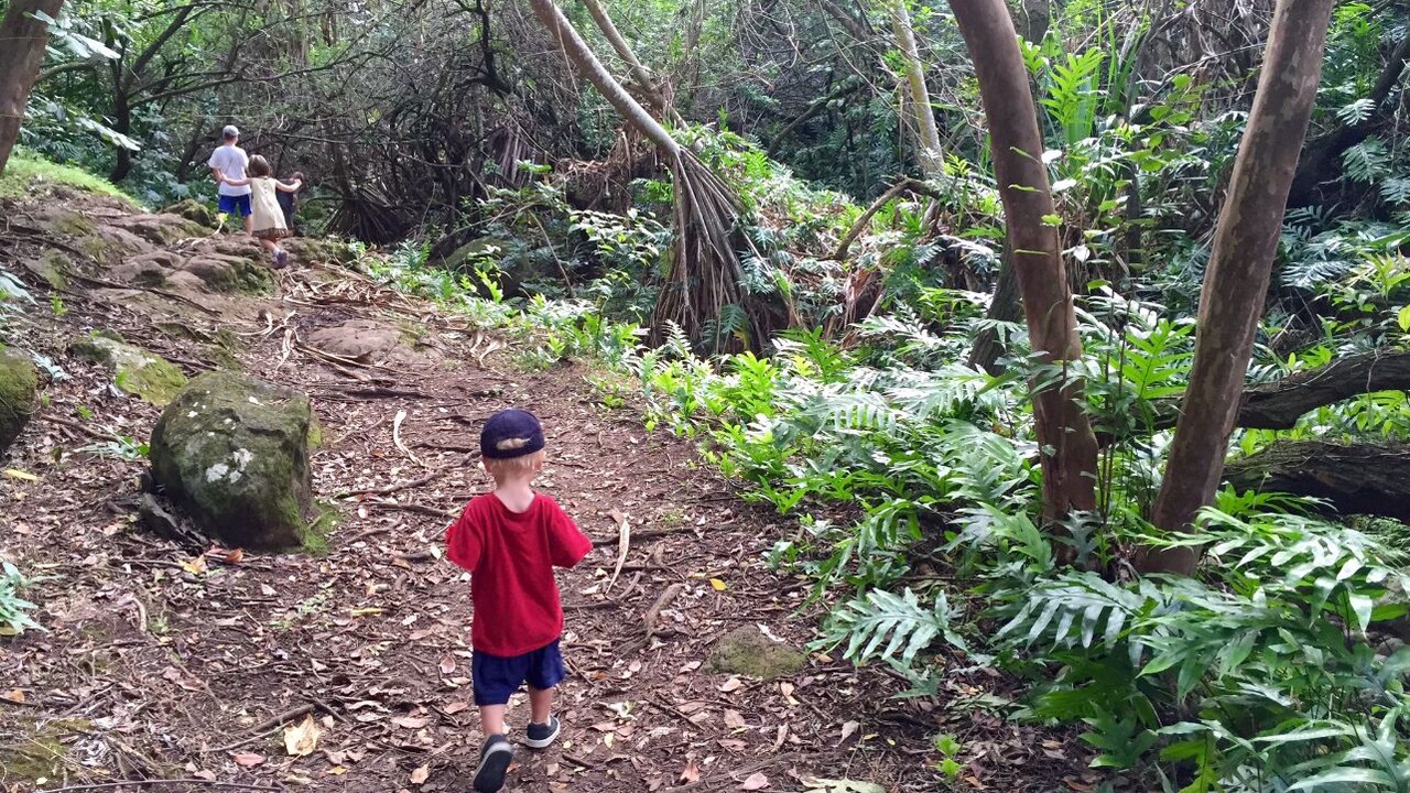 Photo of Outdoor in Hauula
